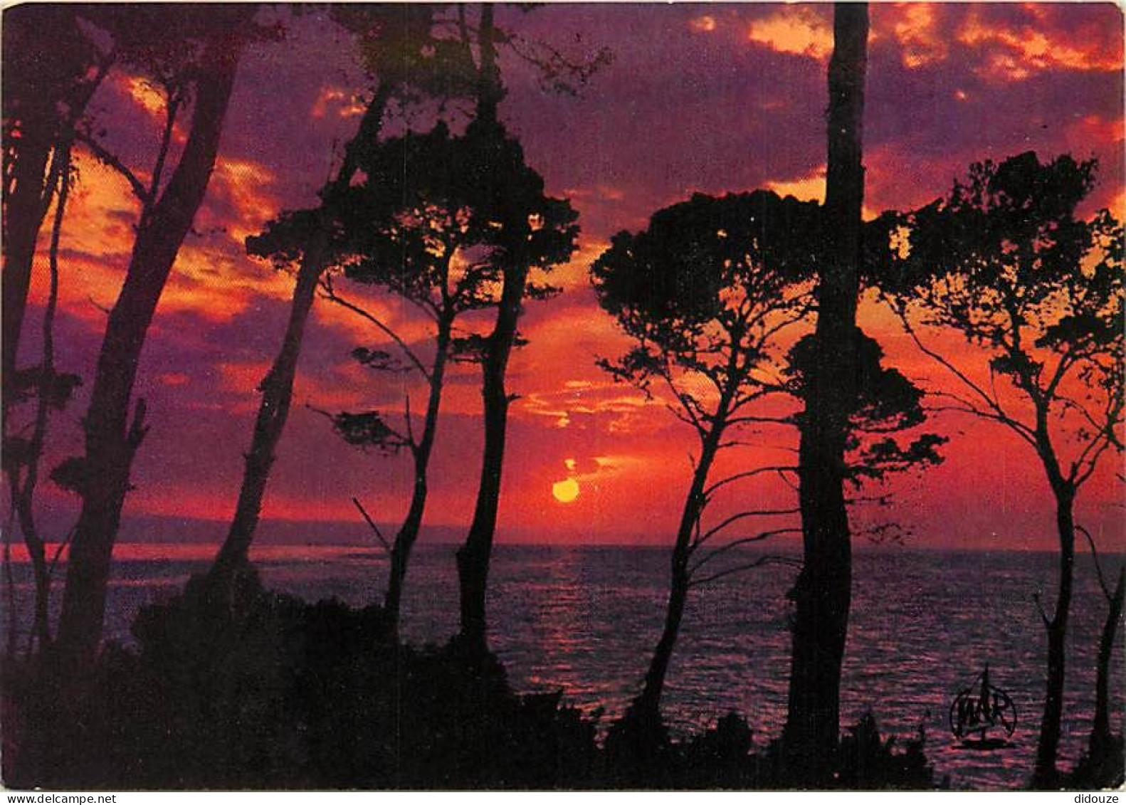 Coucher De Soleil - CPM - Voir Scans Recto-Verso - Contre La Lumière