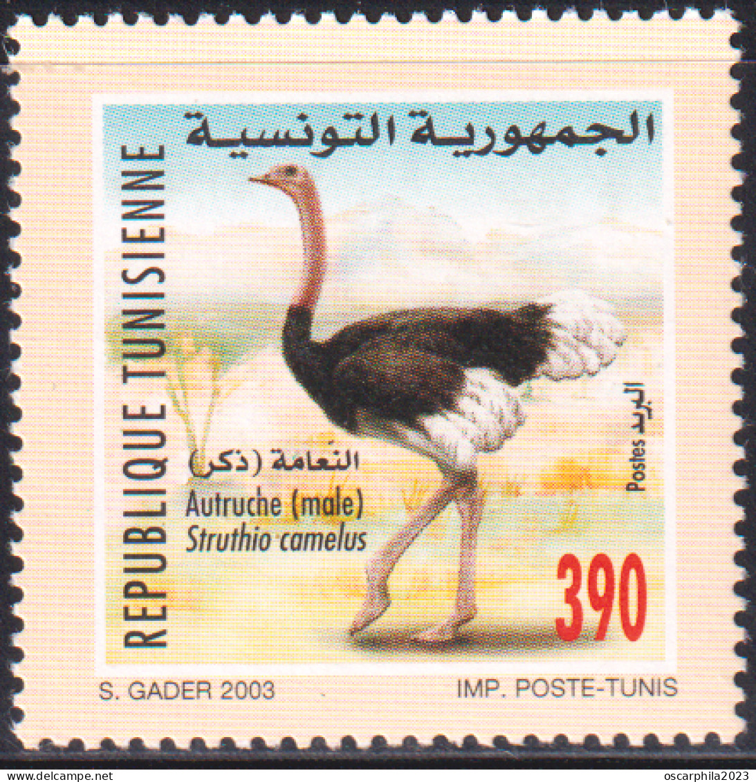 2003-Tunisie / Y&T 1492--  Faune & Flore; Autruche  - 1V / MNH***** - Straussen- Und Laufvögel