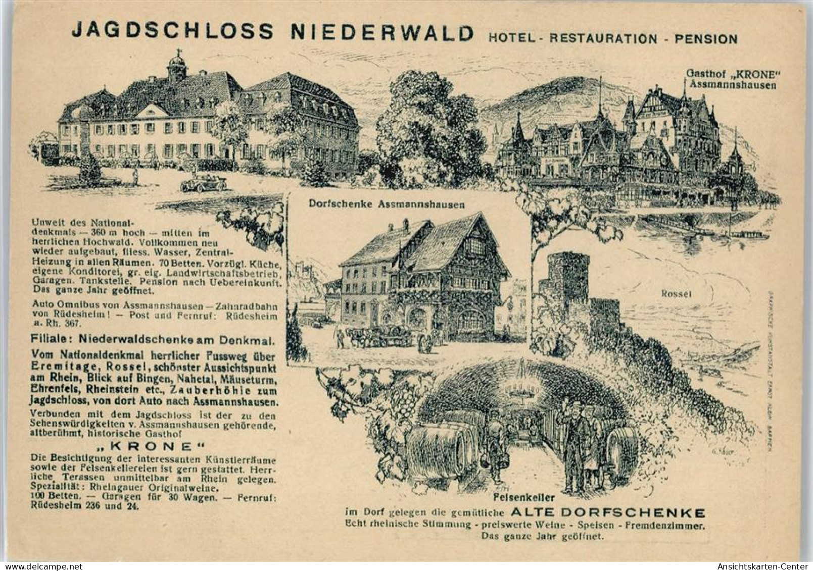 50359501 - Niederwald , Jagdschloss - Kirchhain