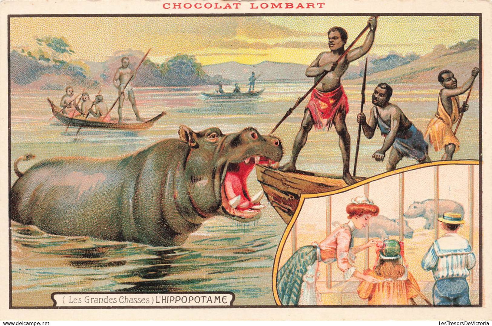 ANIMAUX & FAUNE - L'hippopotame - Les Grandes Chasses - Animé - Carte Postale Ancienne - Hippopotames