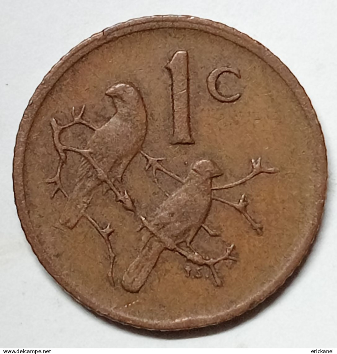 SOUTH AFRICA 1981 1 CENT - South Africa