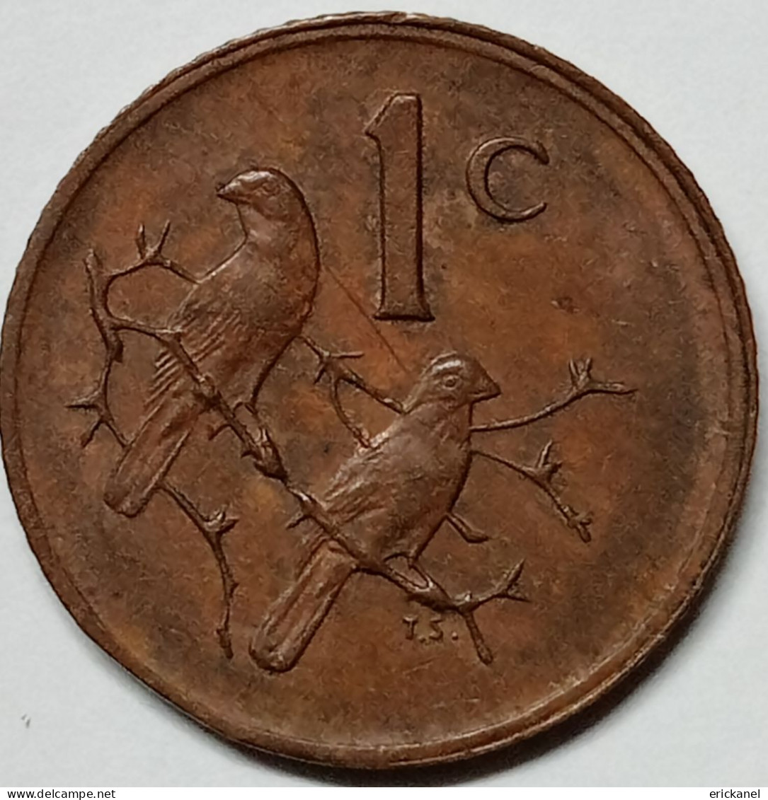 SOUTH AFRICA 1980 1 CENT - Zuid-Afrika