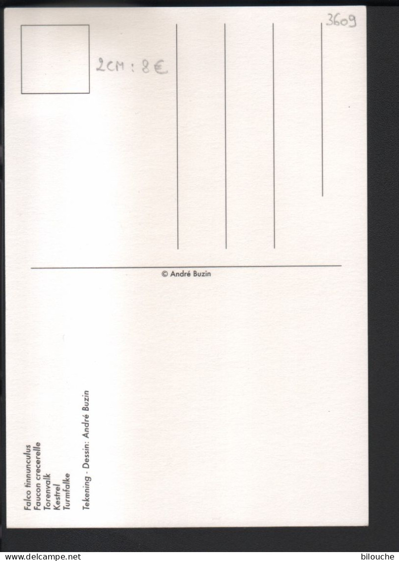 BUZIN / CARTE MAX / COB 3609 / FAUCON CRECERELLE - TORENVALK - 1985-.. Vogels (Buzin)