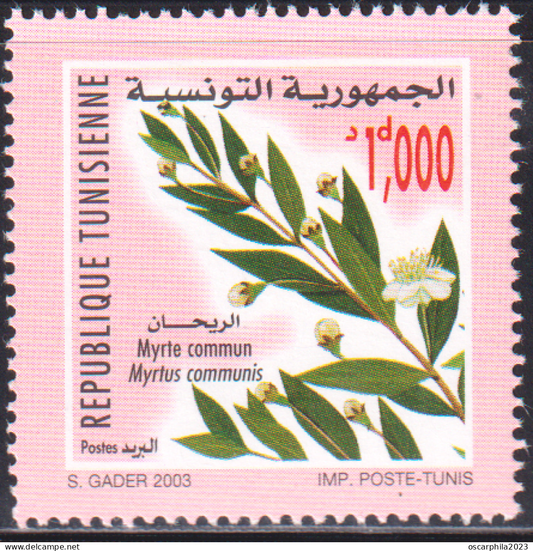 2003-Tunisie / Y&T 1494--  Faune & Flore; Fleur De Myrte Commun  - 1V / MNH***** - Roses