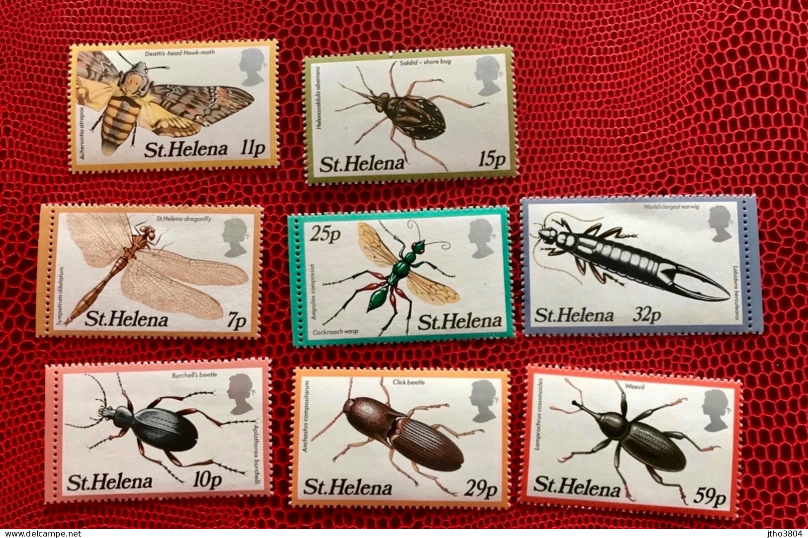 Sainte Helene St. HELENA 1982 1983 Serie Complètes 8v Neuf MNH ** YT 351 A 354 373 A 376 Insect Insect Dragonfly Insekt - Conchas