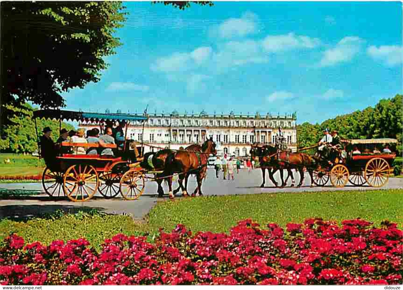 Animaux - Chevaux - Allemagne - Deutschland - Fahrt Mit Der Kutsche Zum SchloB Herrenchiemsee - Coach Drive To Herrenchi - Pferde