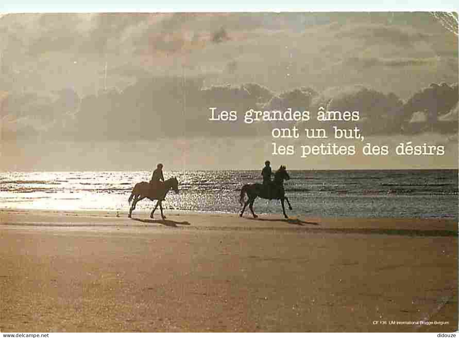 Animaux - Chevaux - Promenade Equestre Sur La Plage - CPM - Voir Scans Recto-Verso - Pferde