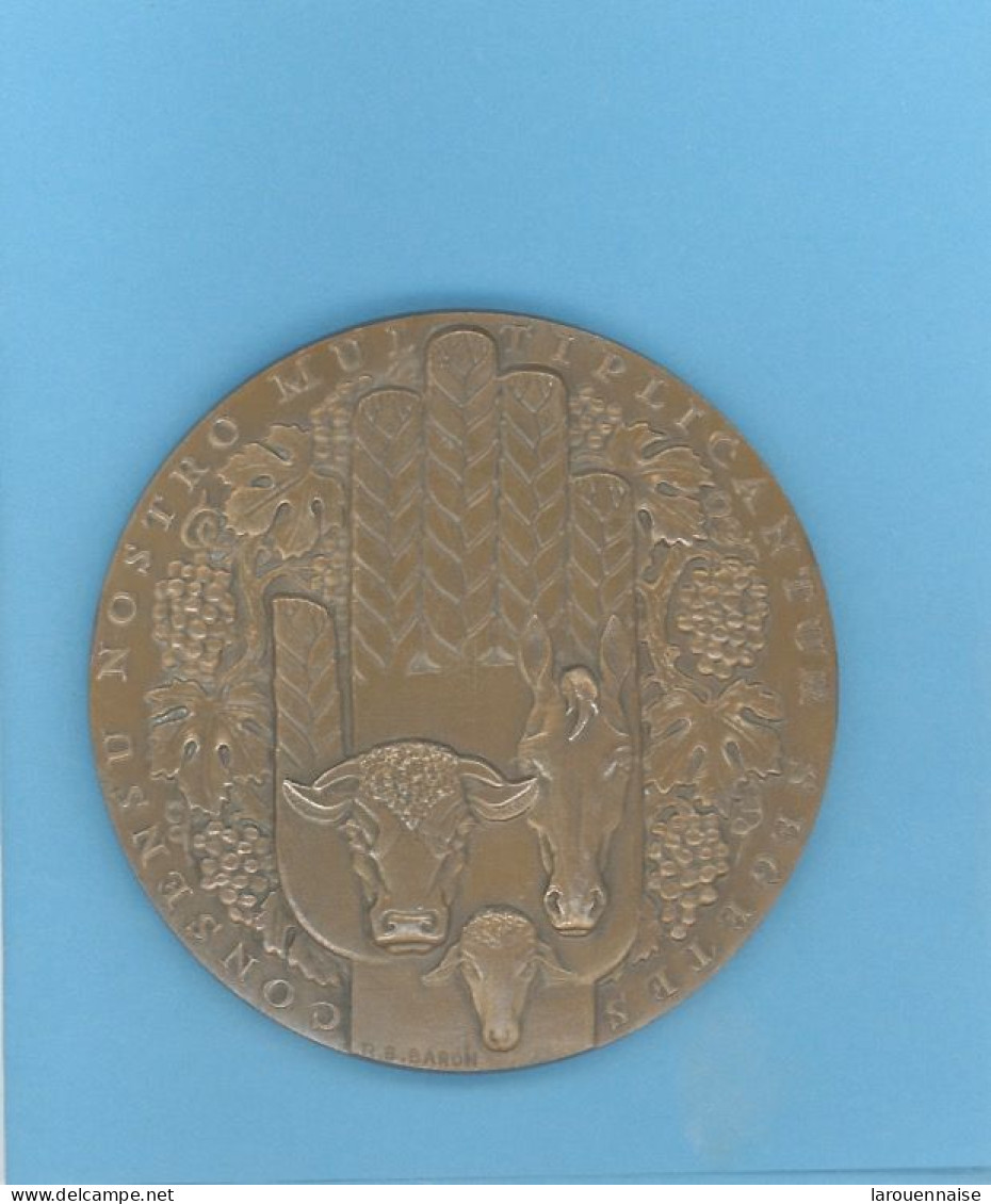 MÉDAILLE - (BANQUE) CRÉDIT AGRICOLE MUTUEL -BRONZE -80mm -305 Gr - GRAVEUR :BARON - Professionals / Firms