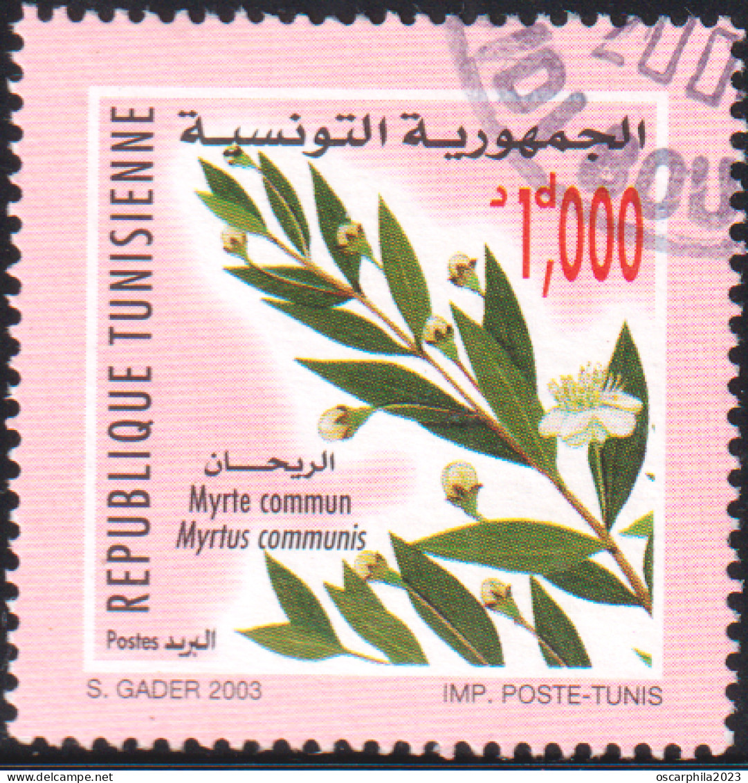 2003-Tunisie / Y&T 1494--  Faune & Flore; Fleur De Myrte Commun  -Obli - Rose