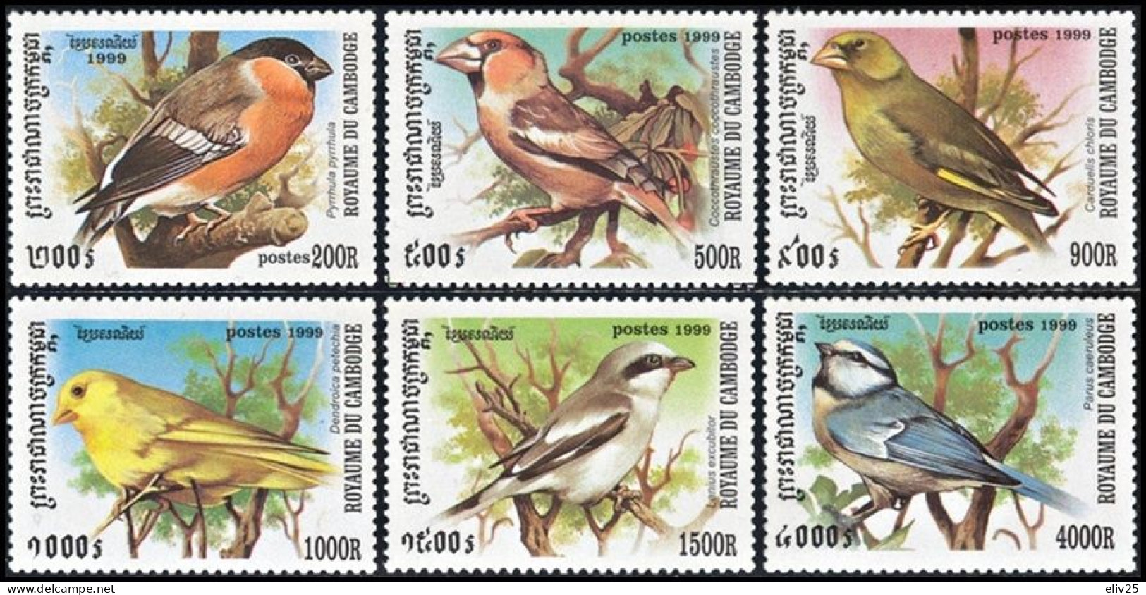 Cambodia 1999, Birds Songbirds - 6 V. MNH - Songbirds & Tree Dwellers