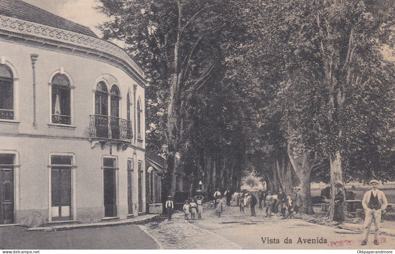 POSTCARD PORTUGAL - PORTO DE MOZ - VISTA DA AVENIDA - Leiria