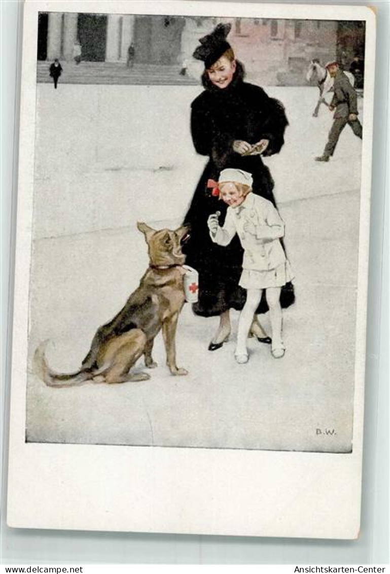 39689101 - Kriegspostkarten Nr. 17 Sanitaetshund Mit Einer Sammelbuechse Rotes Kreuz Kreuz - Wennerberg, B.