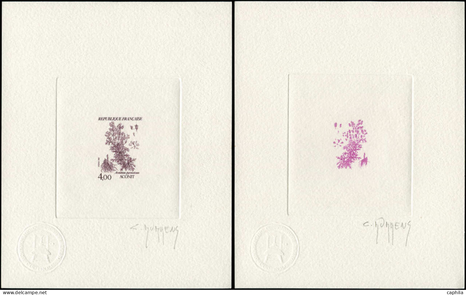 FRANCE Epreuves D'Artiste EPA - 2266/69, 8 épreuves D'artiste (dont 4 Négatifs), Signées Couleurs Diverses: Fleurs - Prueba De Artistas