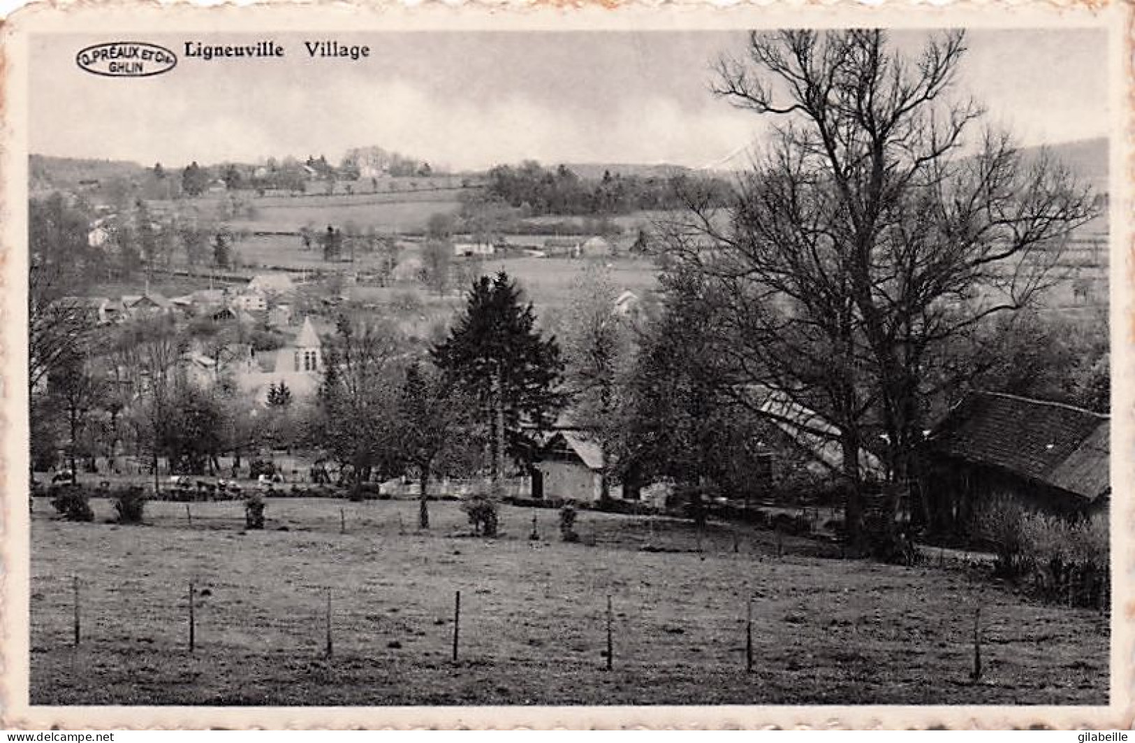 LIGNEUVILLE - Village - Malmedy