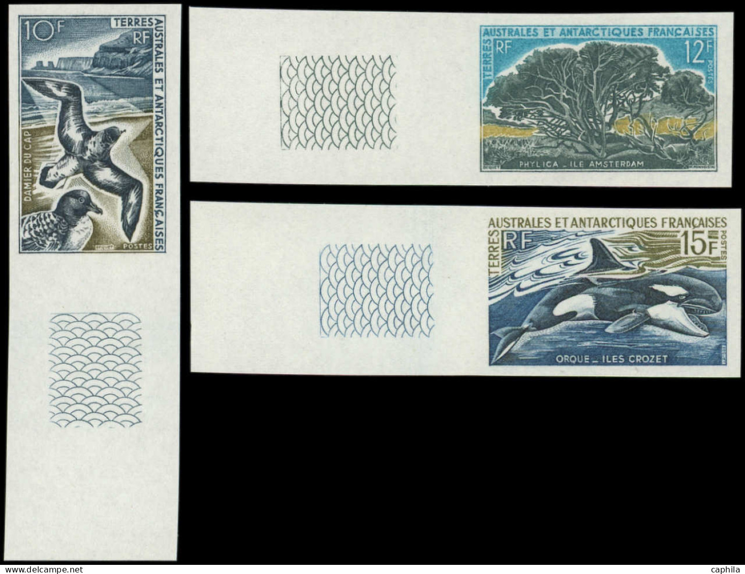 TERRES AUSTRALES Poste ** - 28/30, Non Dentelés, Bdf: Faune Et Flore - Cote: 135 - Unused Stamps