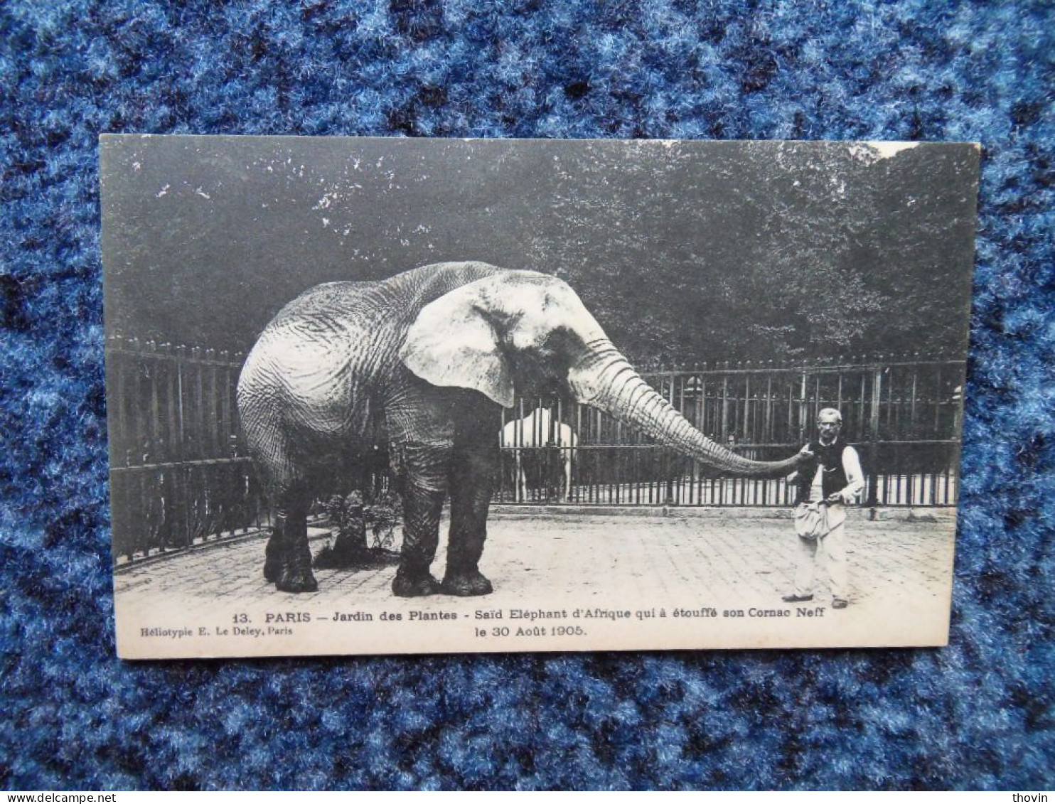 KB10/1137-Paris Jardin Des Plantes Saïd éléphant Qui A étouffé Son Cornac Neff - Elephants