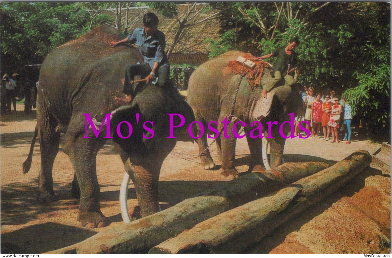 Animals Postcard - Two Elephants Push Timbers With Trunk, Thailand   DZ37 - Elefantes