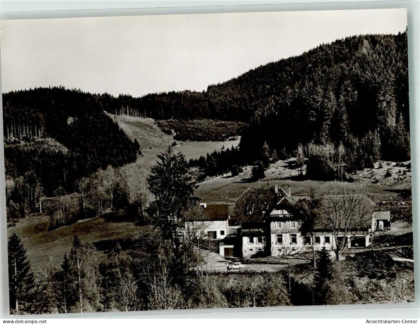 39944201 - Hinterzarten - Hinterzarten