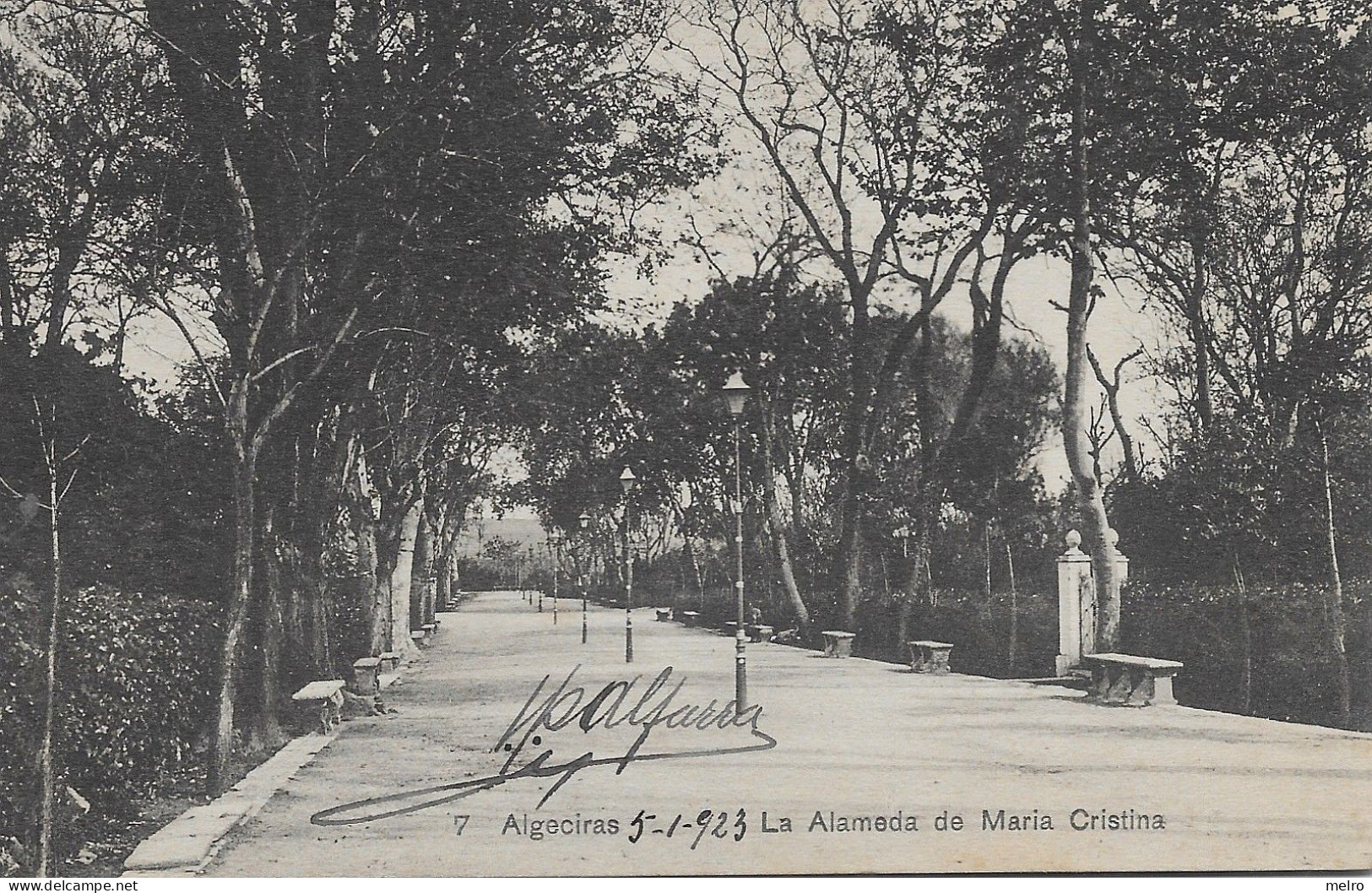 ESPAÑA - Tarjeta Postal - ALGECIRAS - La Alameda  De Maria Cristina  - (Datado De 5-1-1923). - Cádiz