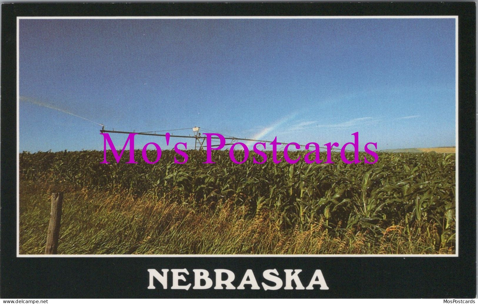 America Postcard - Nebraska. Field Of Crops   DZ41 - Autres & Non Classés