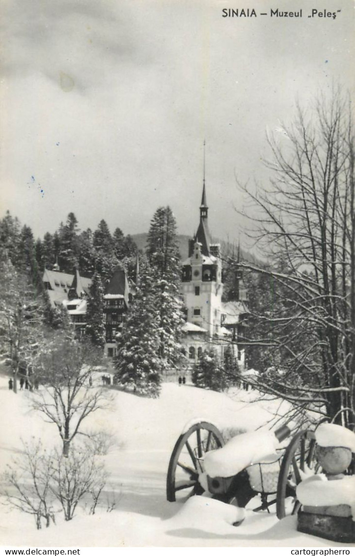 Romania Sinaia Muzeul "Peles" Peisaj De Iarna Tun - Rumania