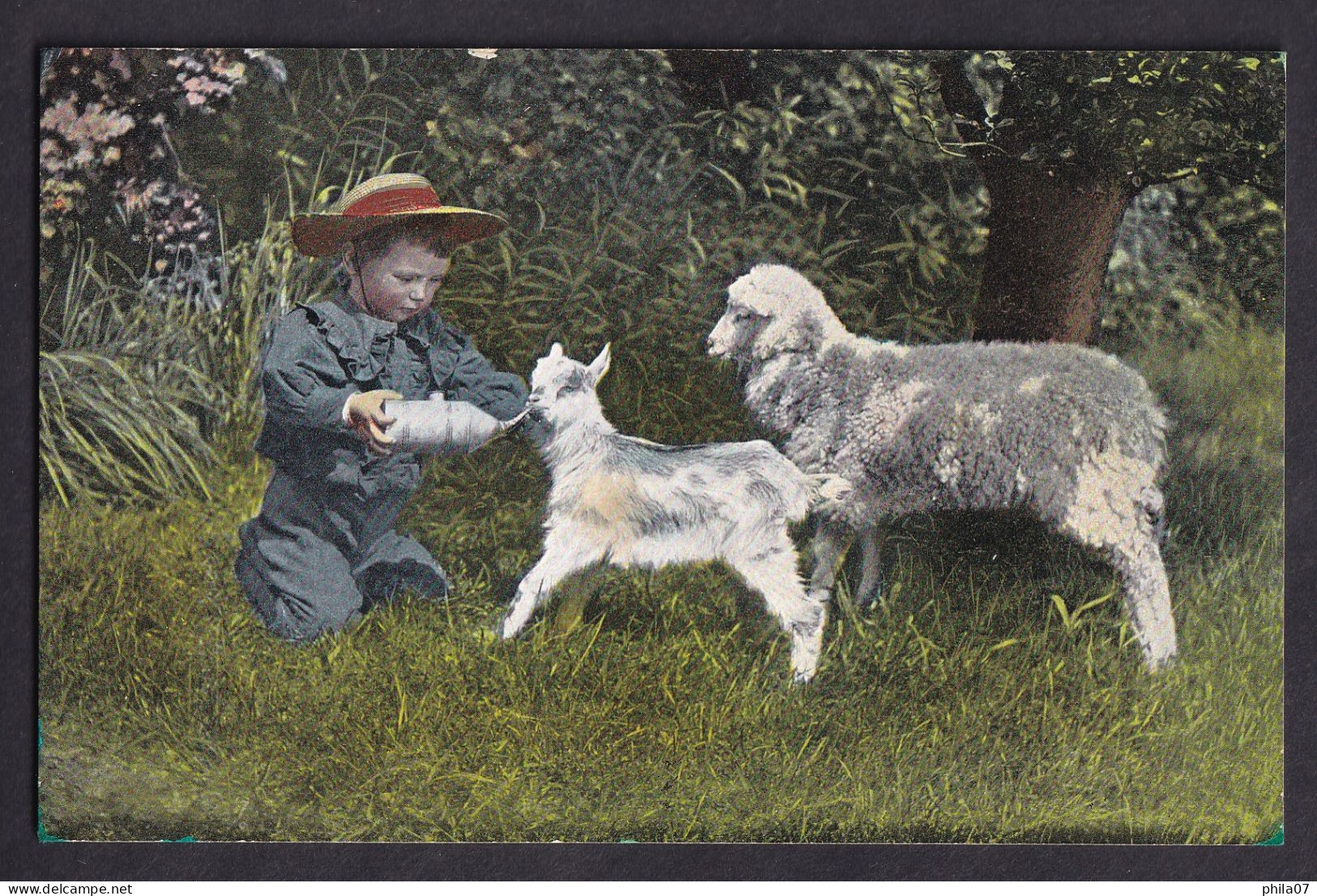 Young Boy Feeding Lamb /  Pet  Series 3708 F. Hartmann / Postcard Not Circulated, 2 Scans - Portraits