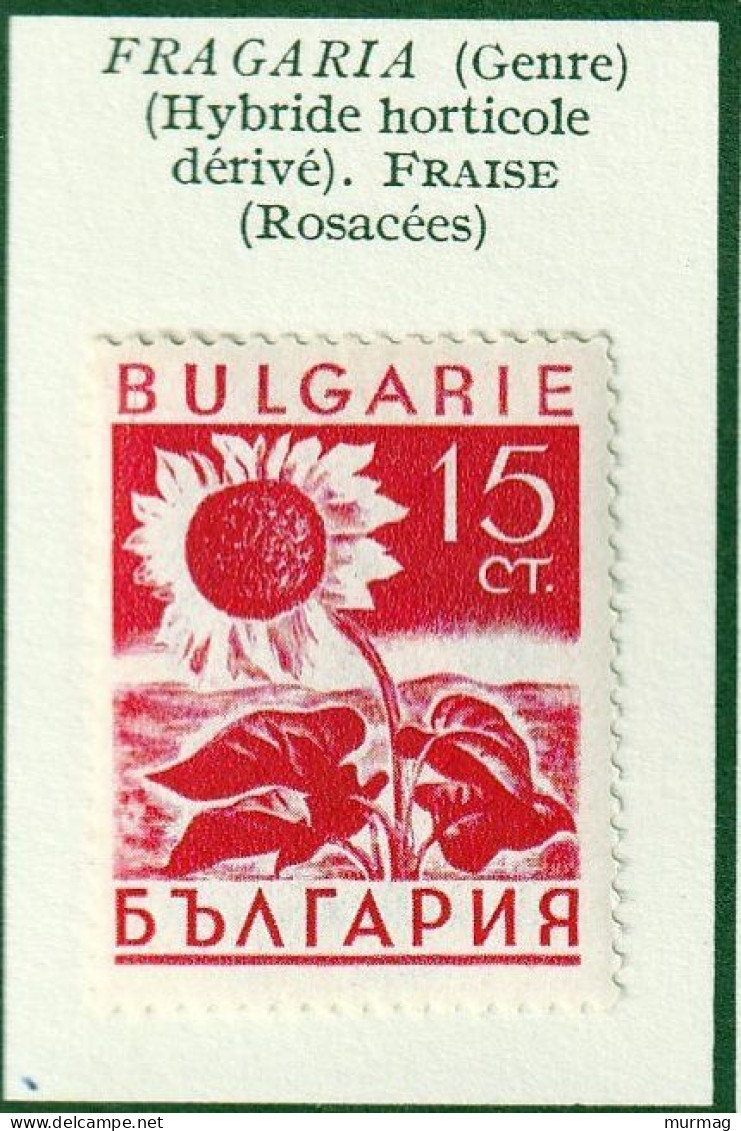 BULGARIE - Tournesol, Propagande Pour Les Produits Nationaux - Y&T N° 301 - 1938 - MH - Ungebraucht