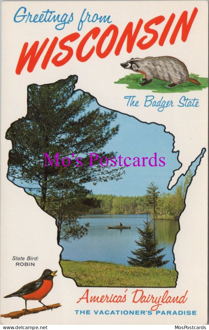 America Postcard - Greetings From Wisconsin. The Badger State  DZ50 - Autres & Non Classés