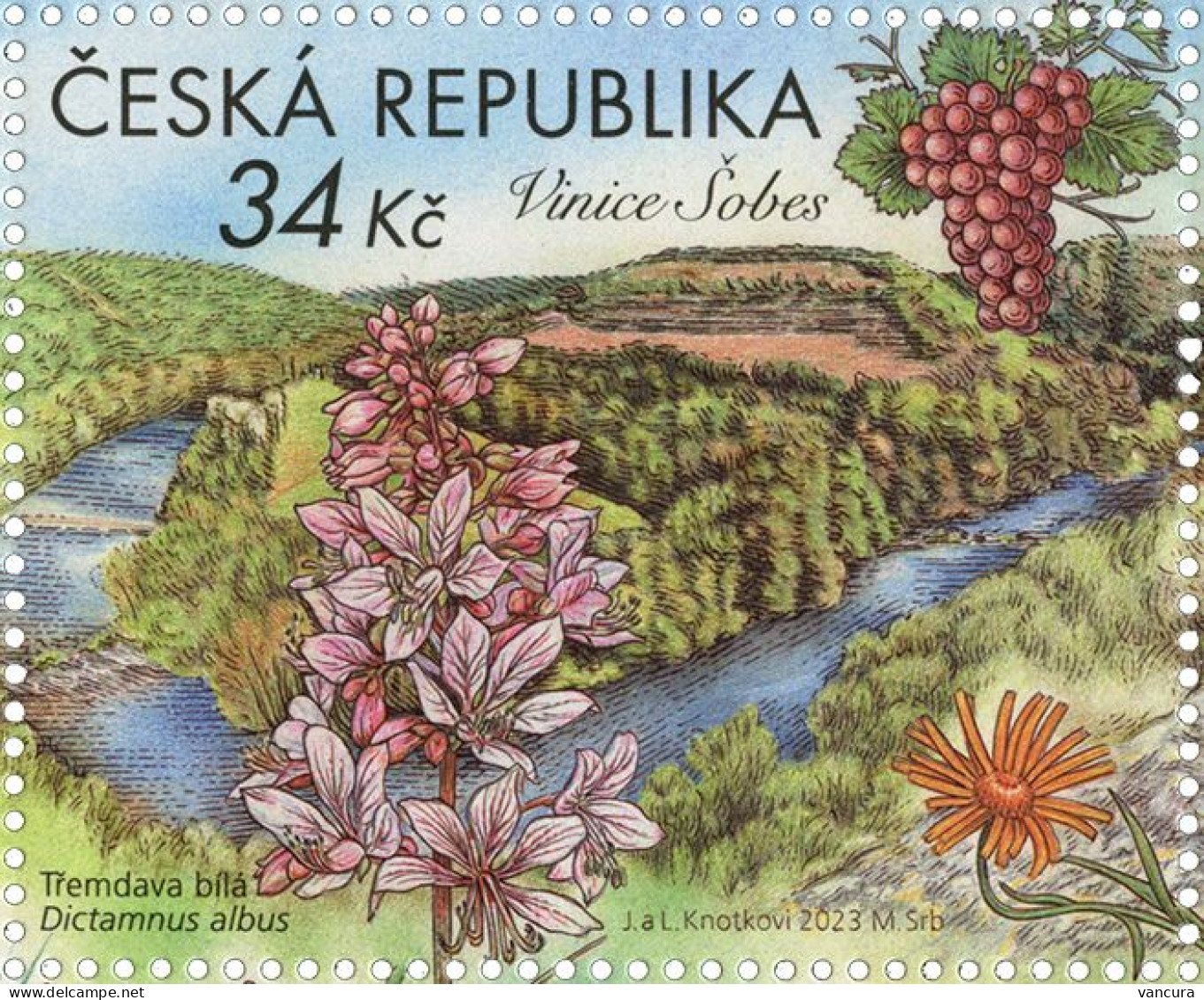 1224 Czech Republic Podyjí National Park.Sobes Vineyard 2023 - Wein & Alkohol