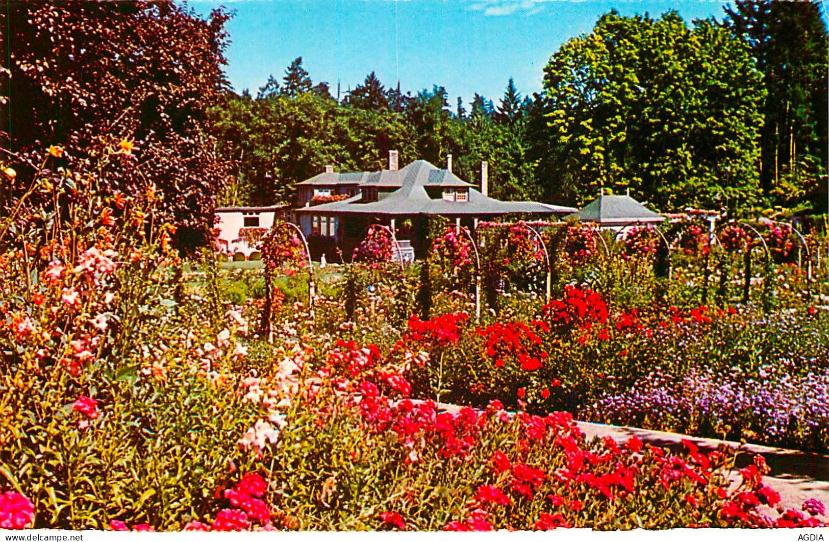 THE BUTCHART GARDENS,VICTORIA ,B.C. - CANADA - LOT DE 14 CARTES POSTALES - FLEURS -