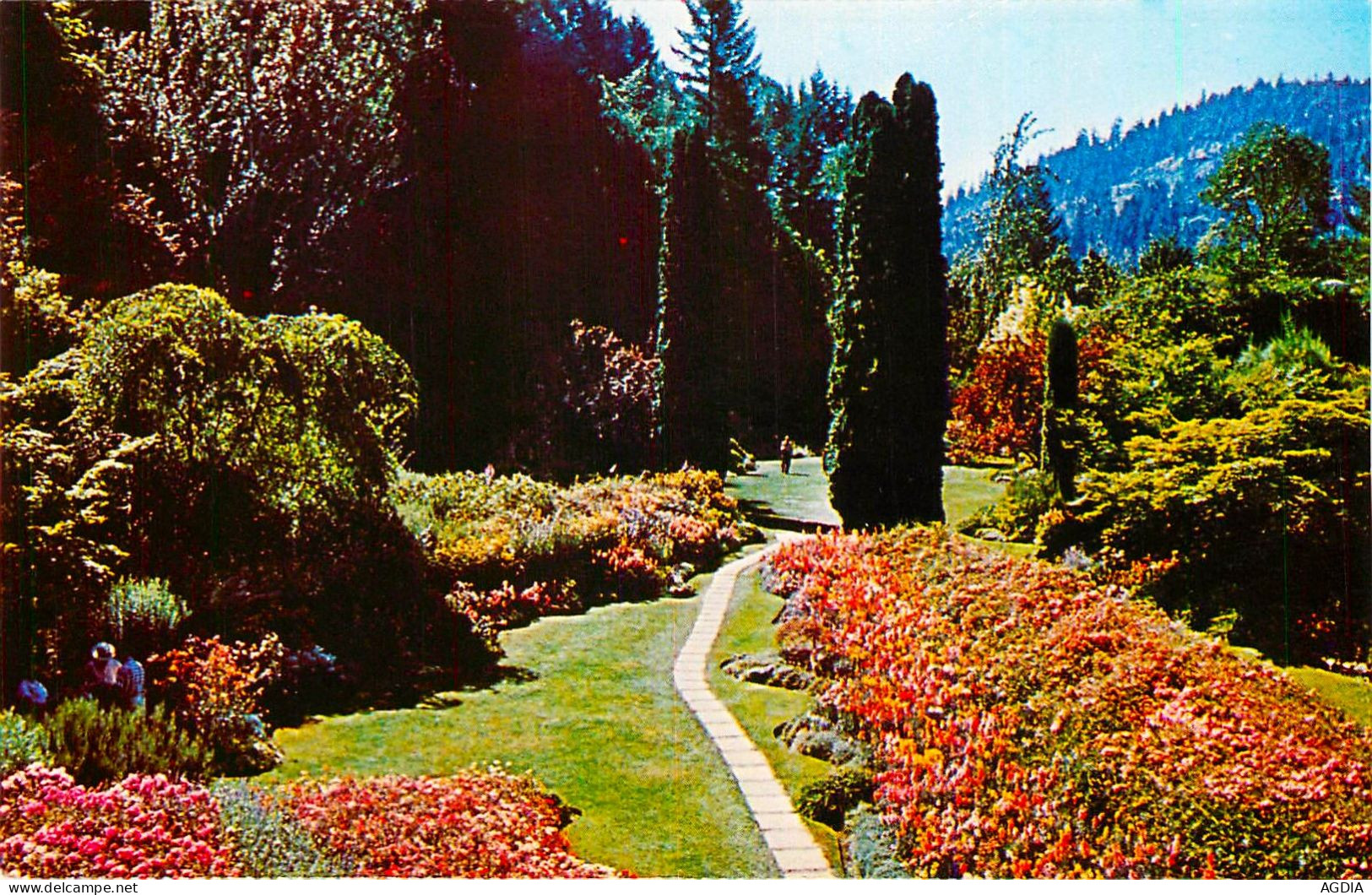 THE BUTCHART GARDENS,VICTORIA ,B.C. - CANADA - LOT DE 14 CARTES POSTALES - FLEURS -