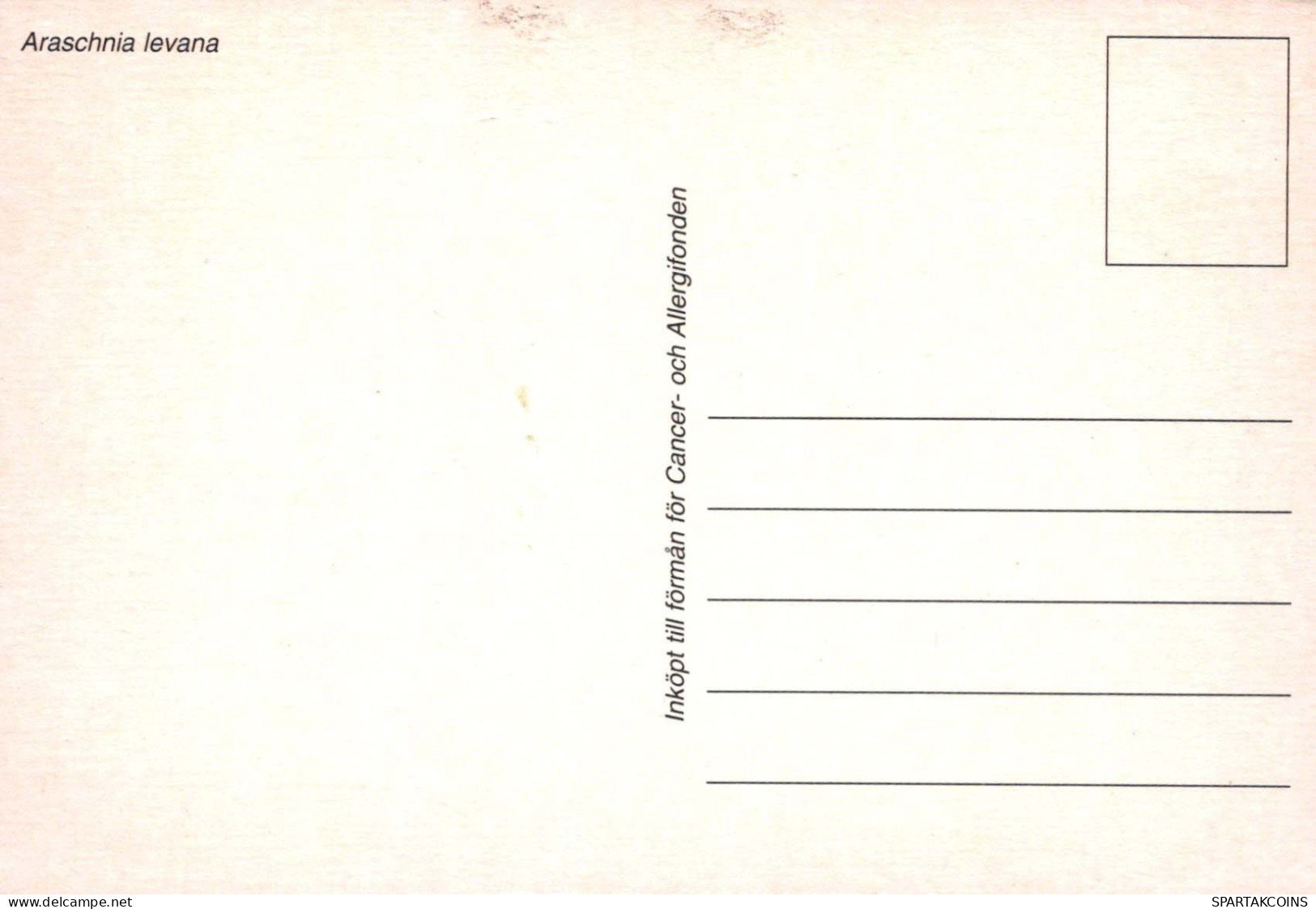 MARIPOSAS Vintage Tarjeta Postal CPSM #PBZ948.ES - Vlinders