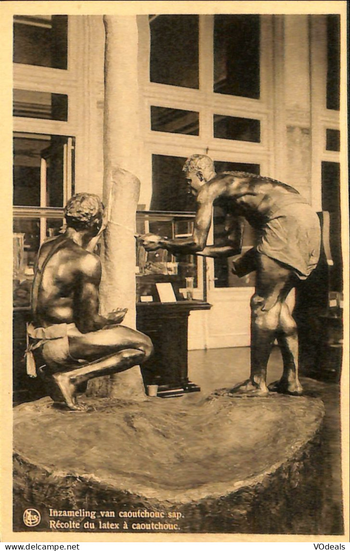 Belgique - Brabant Flamand - Tervueren - Tervueren - Musée Du Congo Belge - Récolte Du Latex à Caoutchouc - Tervuren