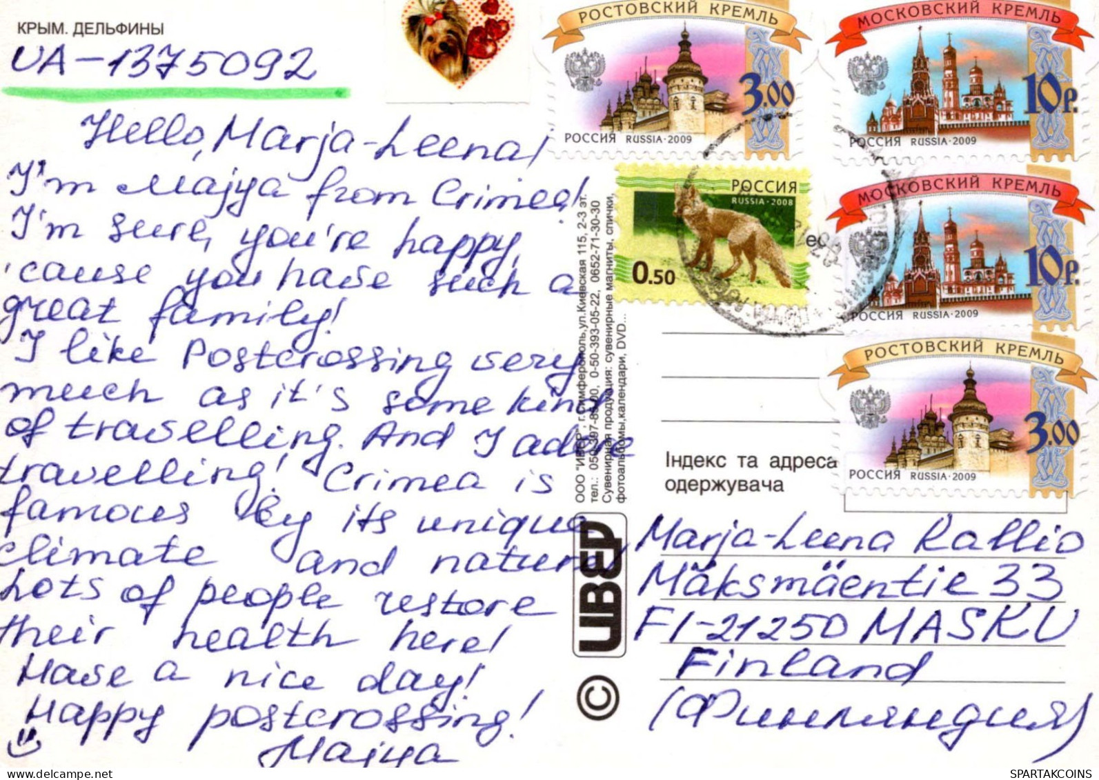 DELFÍNs Animales Vintage Tarjeta Postal CPSM #PBS678.ES - Delfini