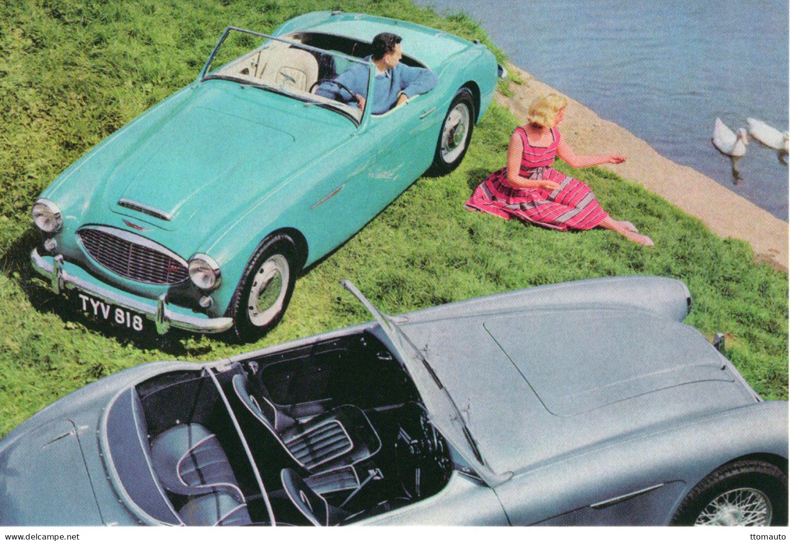 Austin-Healey 100/6 Sports   (1959)  -    CPM - PKW