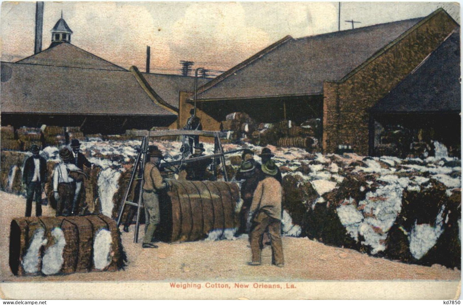 New Orleans - Weighing Cotton - New Orleans