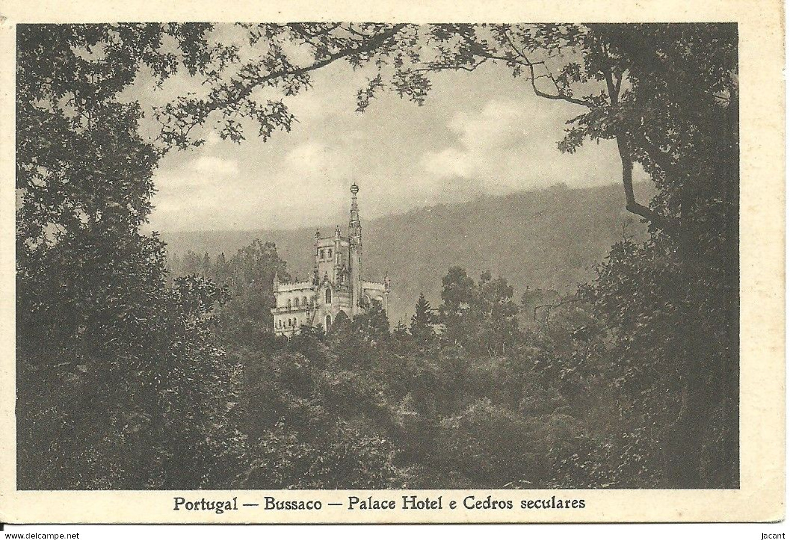 Portugal - Bussaco - Palace Hotel E Cedros Seculares - Aveiro