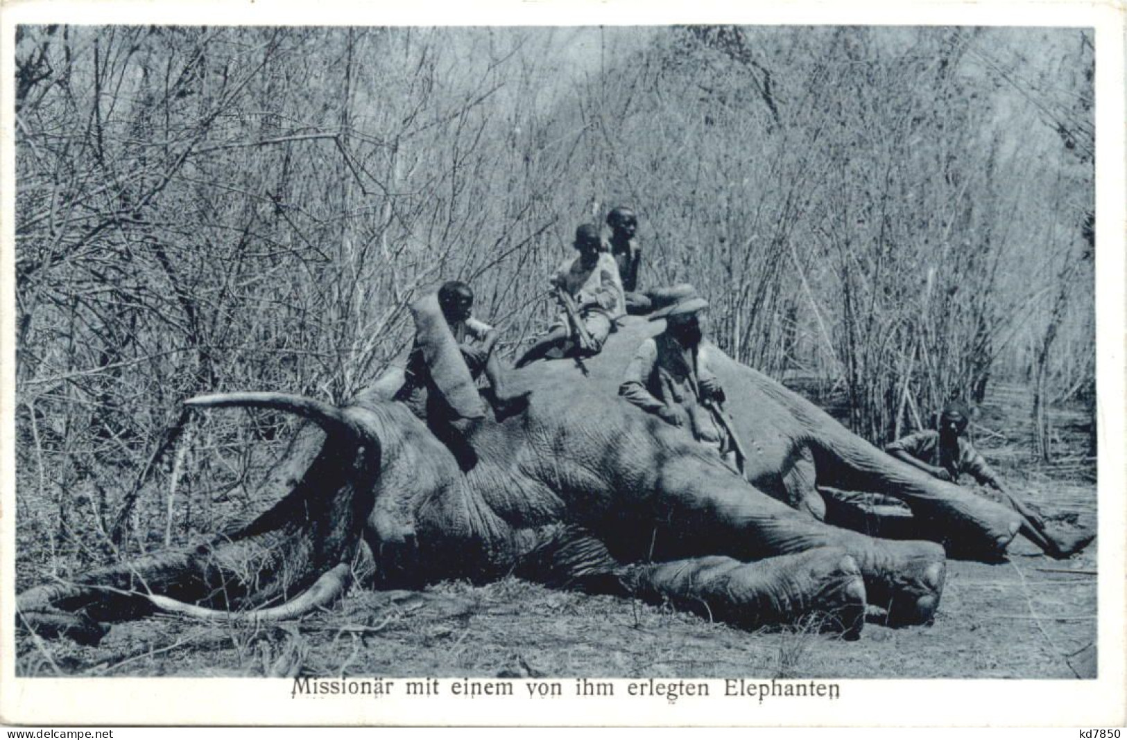 DOA - Benediktinermissionäre Von St. Ottilien - Jagd - Ehemalige Dt. Kolonien