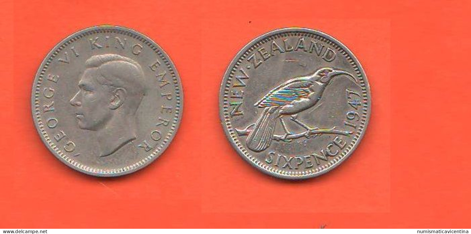 New Zealand 6 Pence 1947 Nuova Zelanda  Nouvelle Zélande Birds - Nieuw-Zeeland