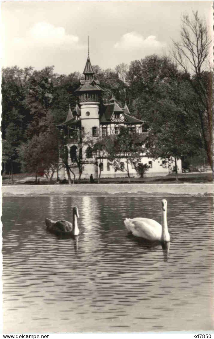 Herrsching Am Ammersee, Besuch Am Parkschlösschen - Herrsching