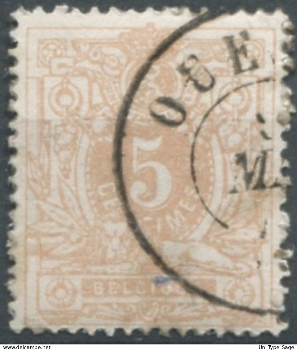 Belgique COB N°28 - Cachet (ambulant) OUEST 3 - (F913) - Bahnpoststempel