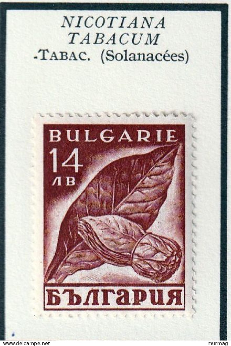 BULGARIE - Tabac - Y&T N° 317-318 - 1938 - MH - Nuevos