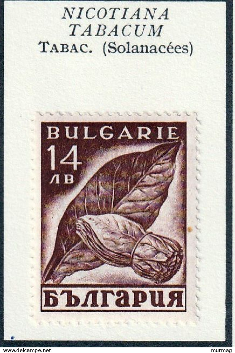 BULGARIE - Tabac - Y&T N° 317-318 - 1938 - MH - Nuevos