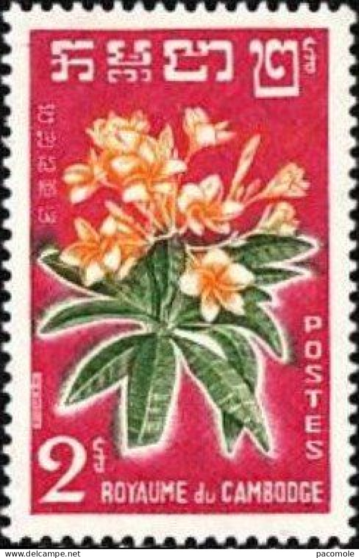 Cambodgr - 1961  Fleurs - Camboya