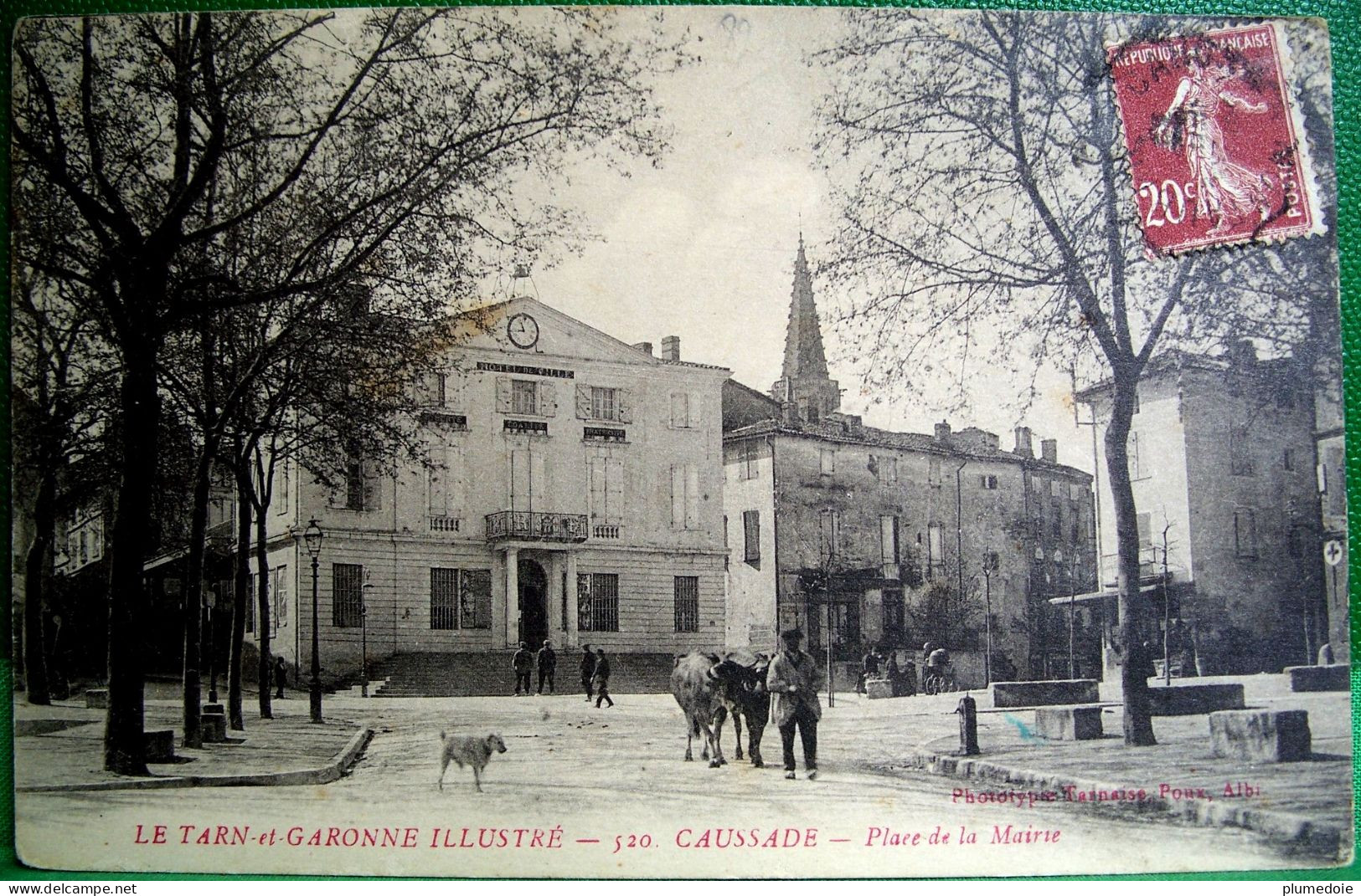 CPA 82 CAUSSADE Animée PLACE DE LA MAIRIE Paysan Et Paire De Boeufs . TARN ET GARONNE . Phototypie Tarnaise POUX - Caussade