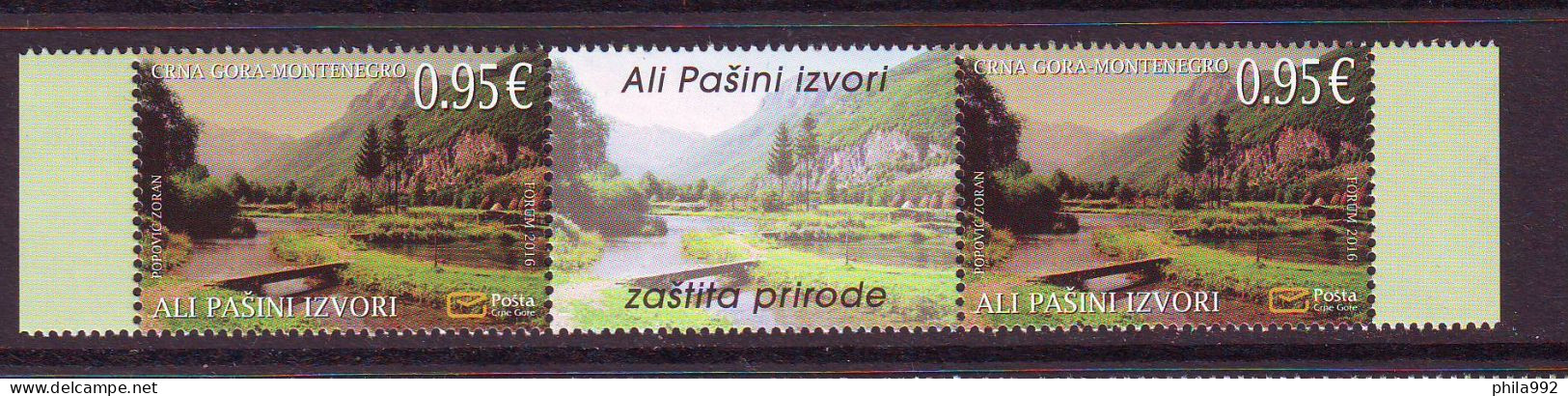 Montenegro 2016 Nature Preservation Mi.No. 390 SLS MNH - Montenegro