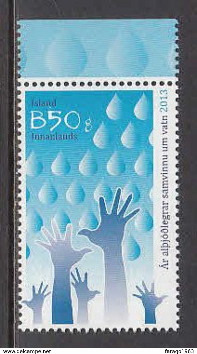 2013 Iceland Year Of Water Co-operation  Complete Set Of 1 MNH - Ongebruikt