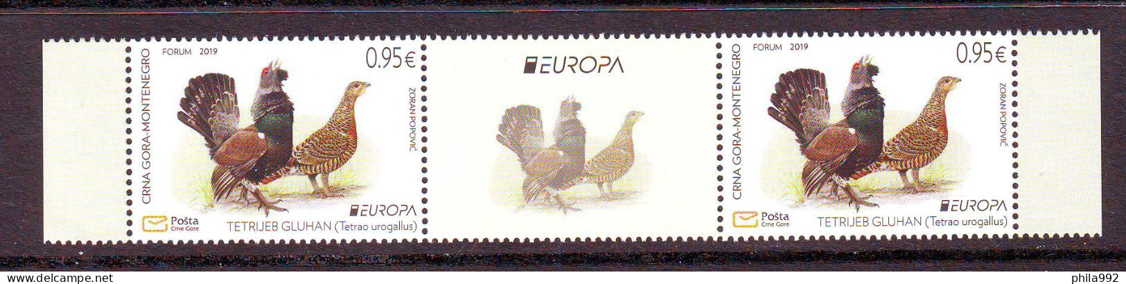 Montenegro 2019 EUROPA FAUNA Mi.No. 431 SLS MNH - Montenegro