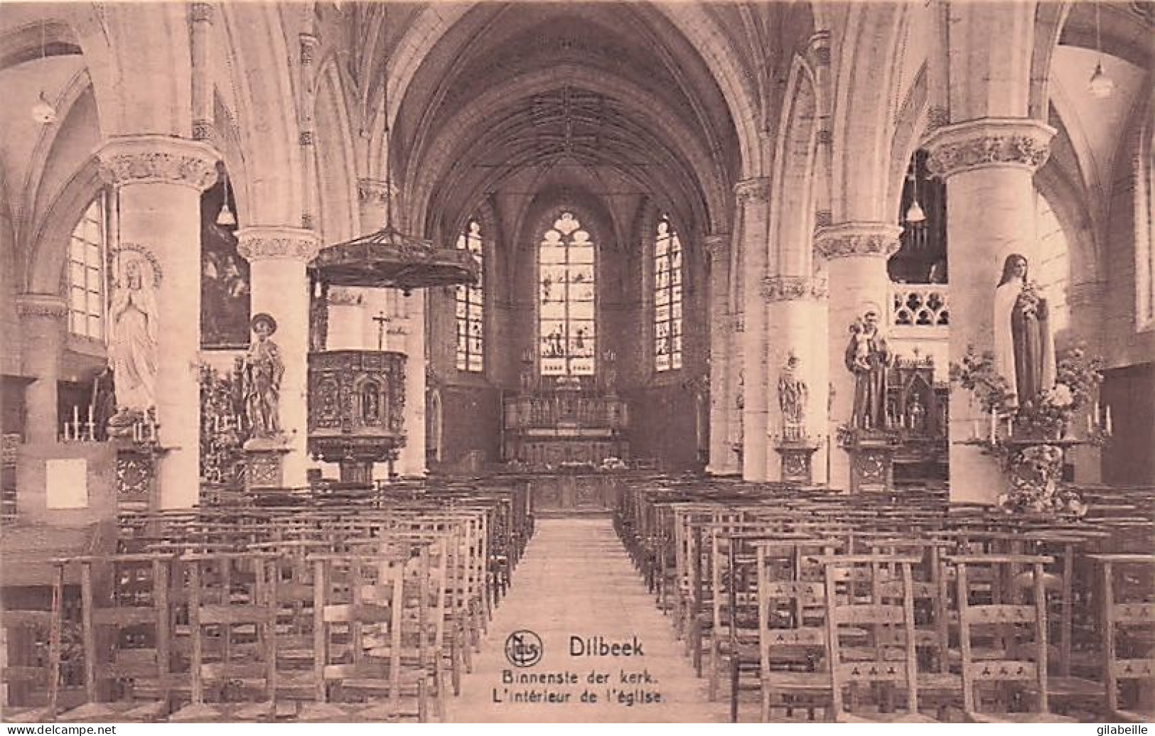 Dilbeek -  L'intérieur De L'église -  Binnenste Der Kerk  - Dilbeek
