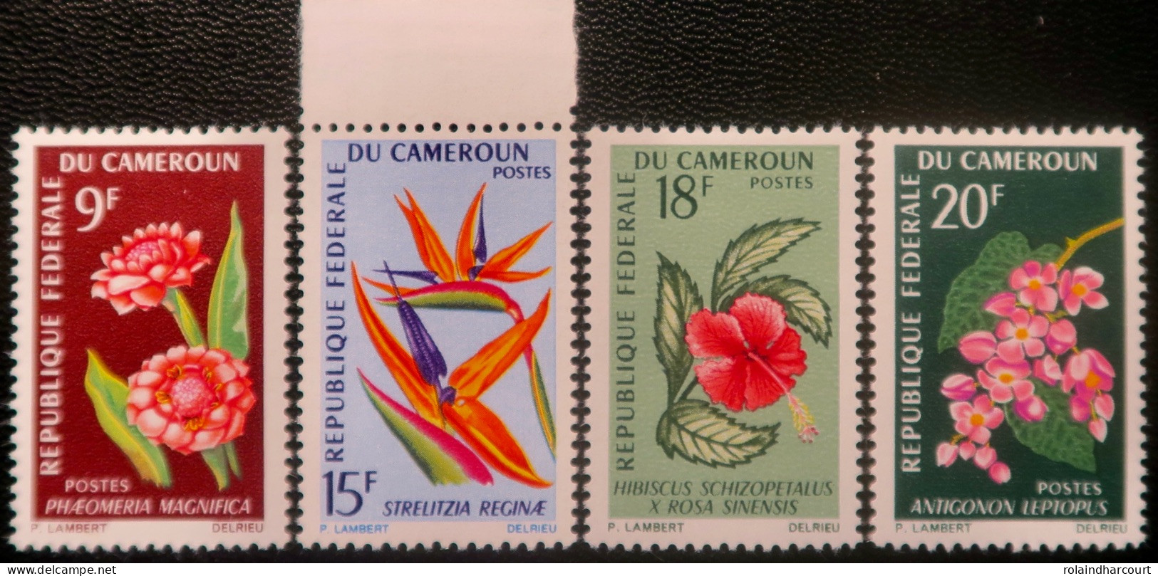 R2452/1829 - CAMEROUN - 1966/1967 - FLORE - SERIE COMPLETE - N°422 à 424 NEUFS**(1t)/*(3t) - Camerun (1960-...)